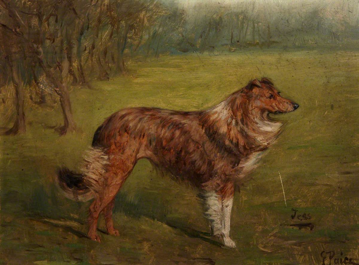 'Tess', a Collie in a Landscape