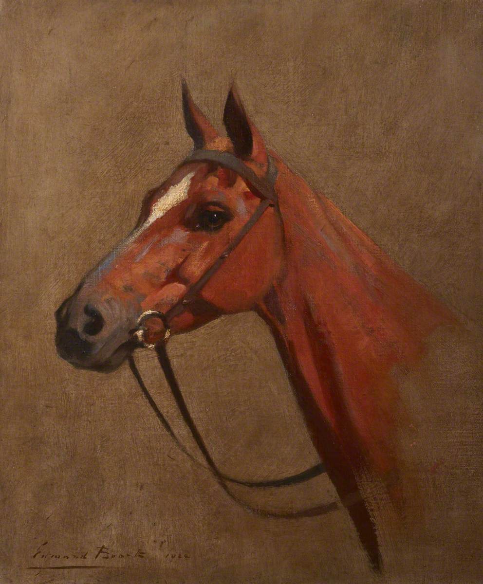 Study of a Horse's Head