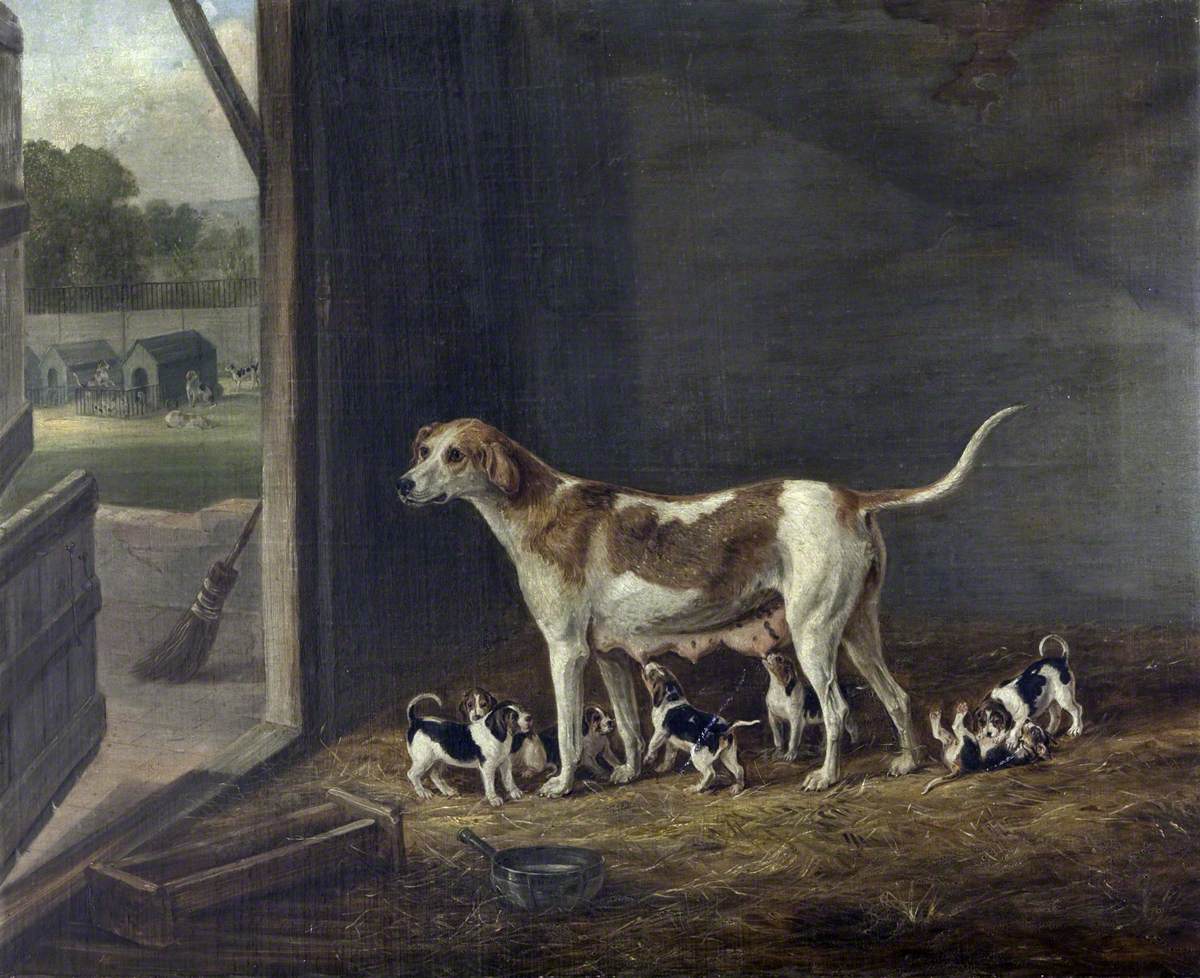 A Foxhound Bitch with Her Litter in a Kennel