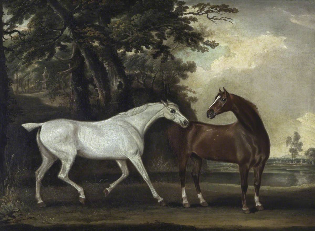 A Grey and a Bay Horse: 'Snowdrop' and 'Nimble'
