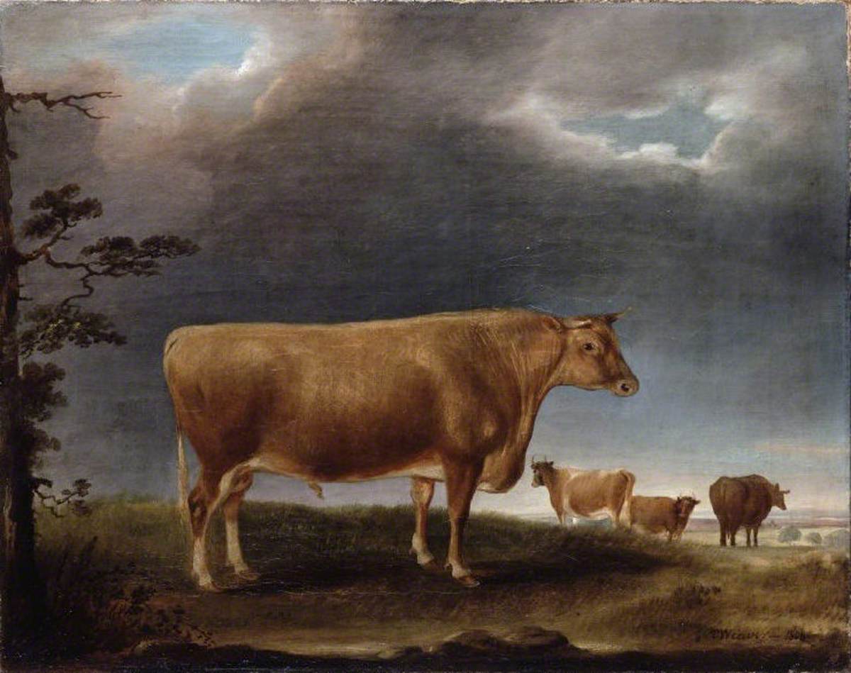 A Horned Cow in a Landscape, with Others