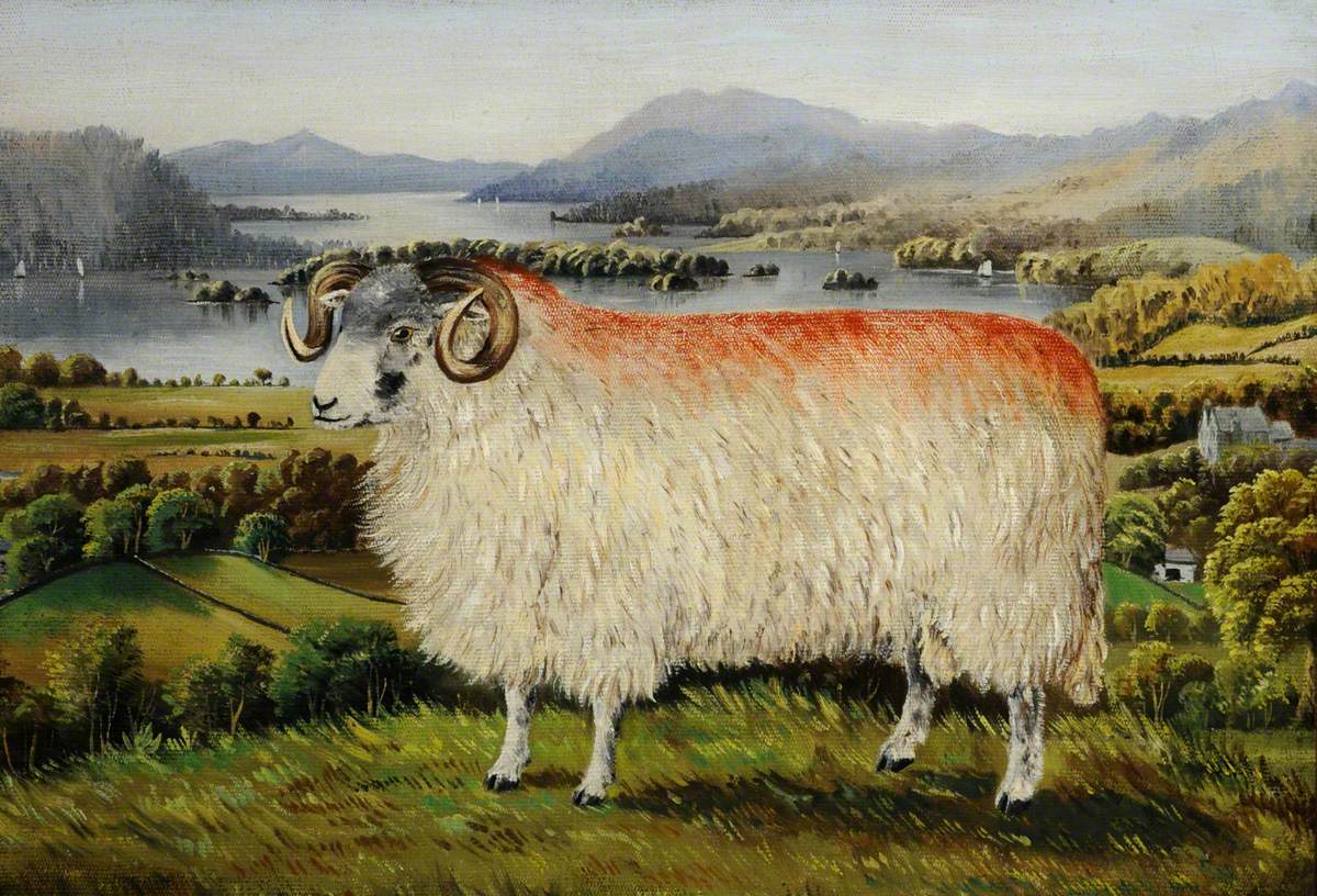 Swaledale Ram from Troutbeck, Looking South down Lake Windermere