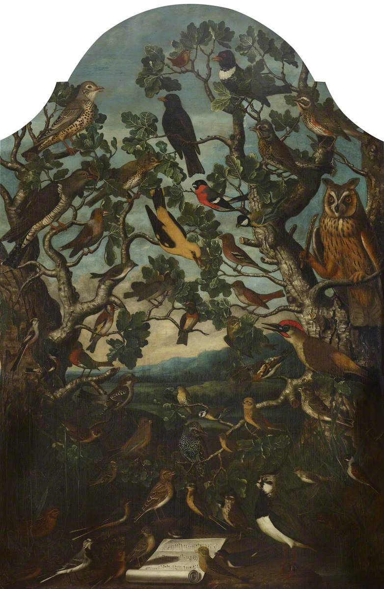 'Birds of Britain': A Concert of Song Birds in Two Trees, Watched by an Owl
