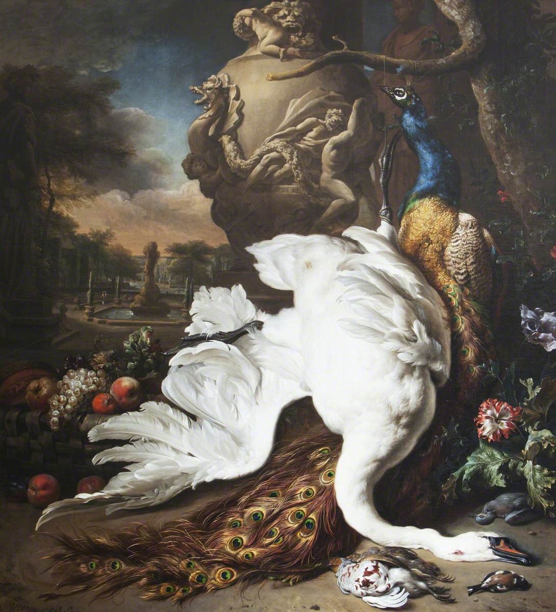 A Dead Swan and Peacock