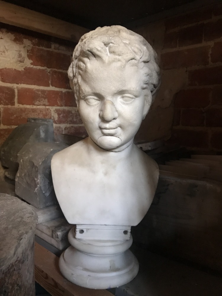 Head of a Young Boy