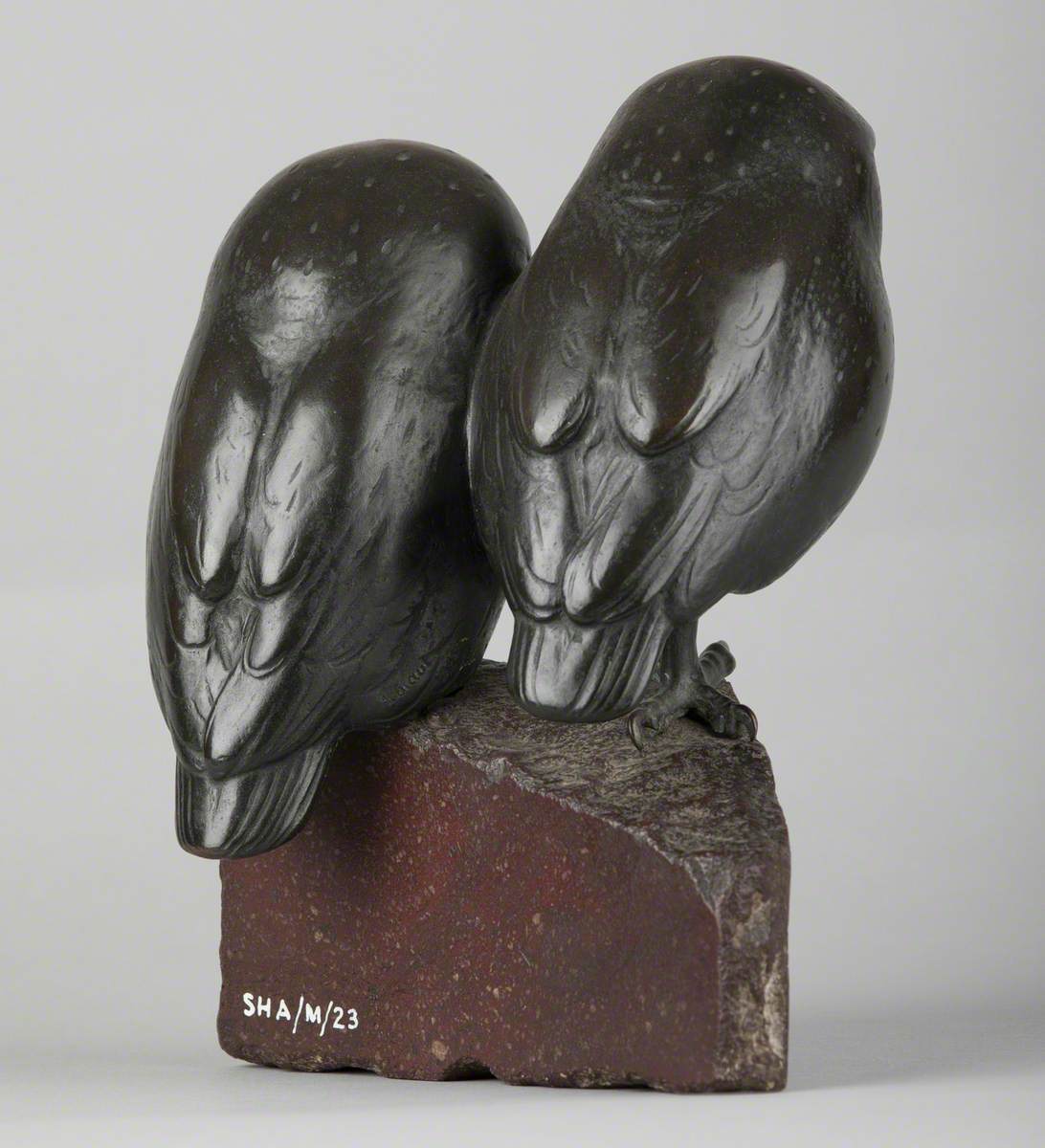 A Pair of Owls