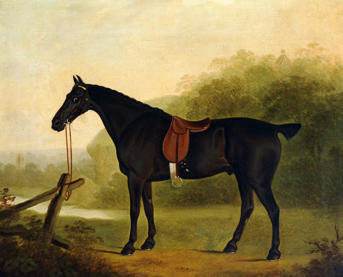 A Saddled Black Hunter in a Landscape