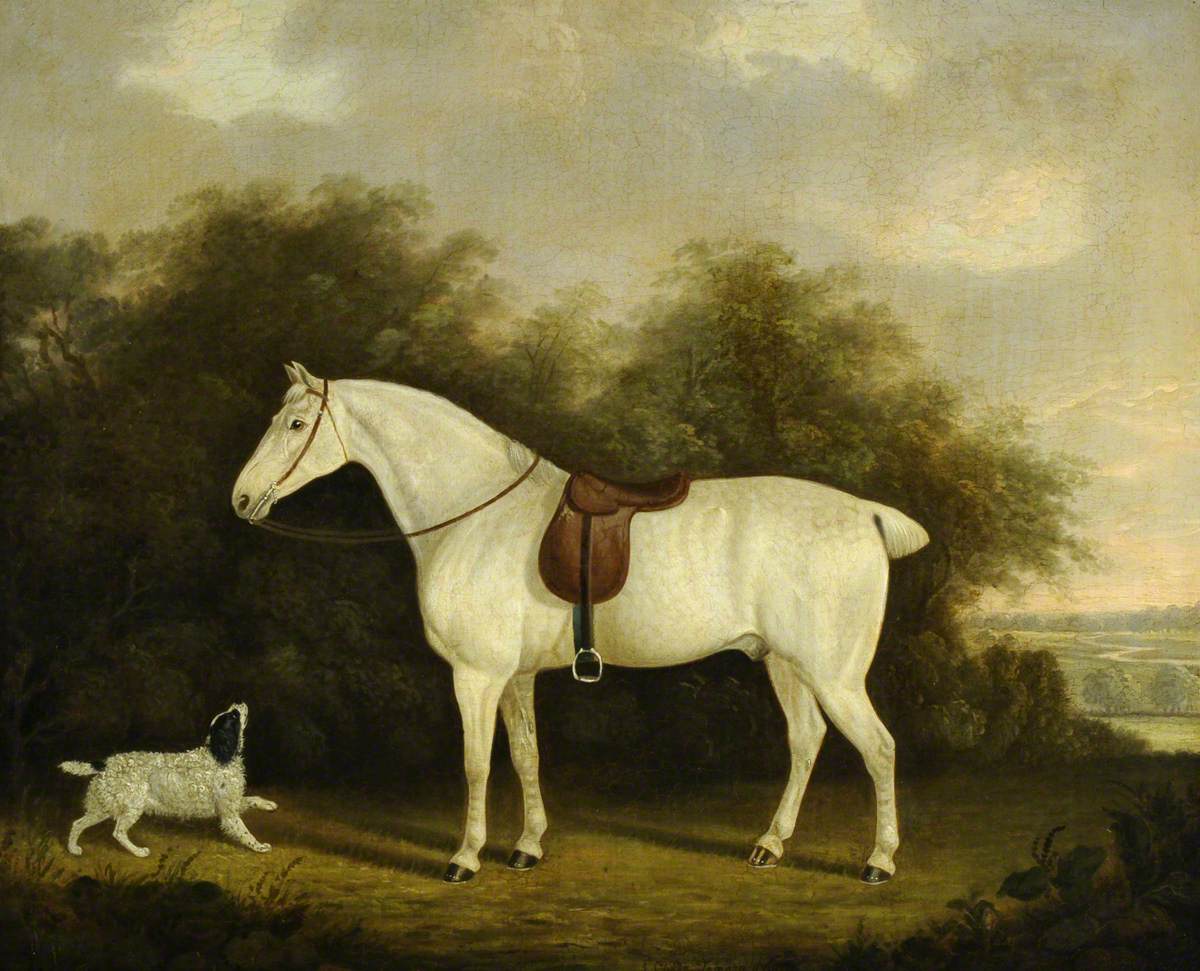 A Saddled Grey Hunter with a Spaniel in a Wooded Landscape
