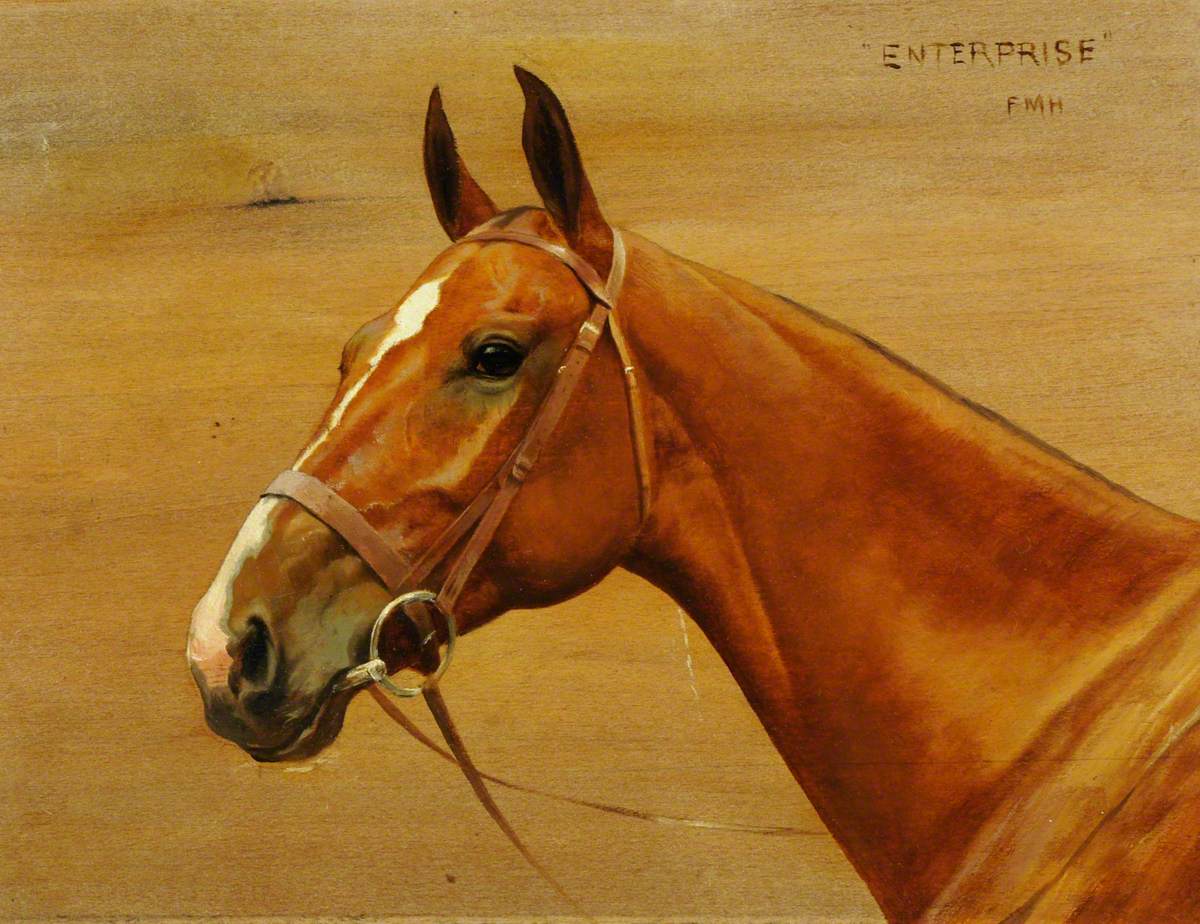 A Chestnut Thoroughbred Called 'Enterprise'