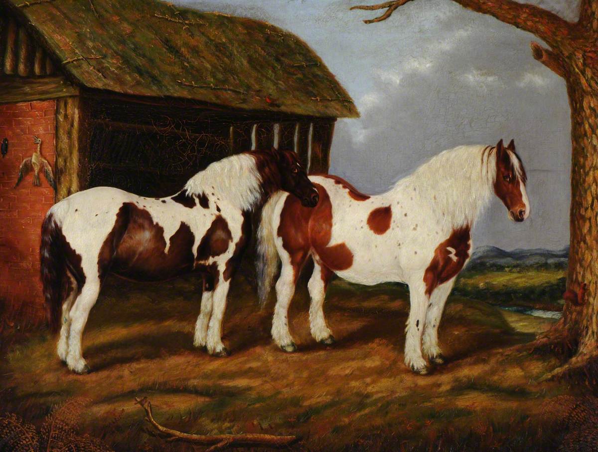 Two Skewbald Horses by a Stable