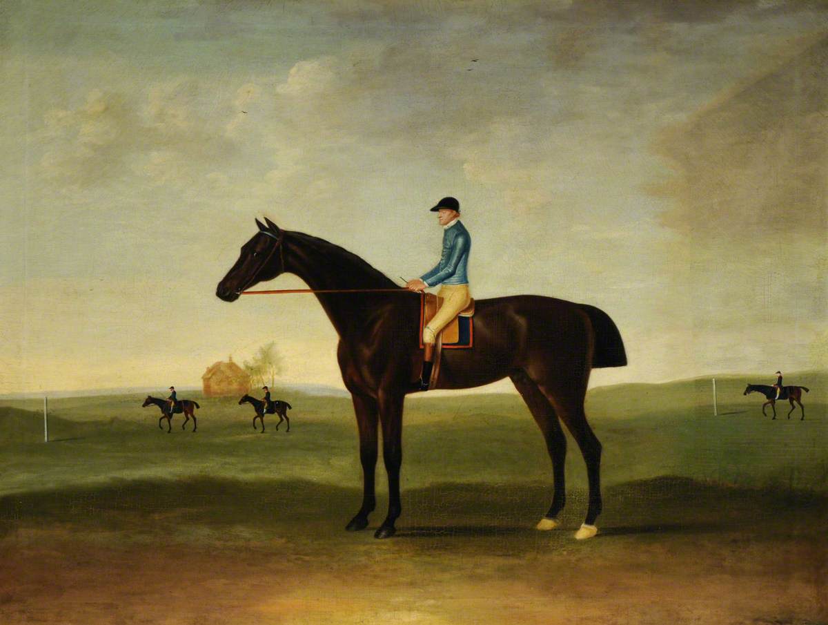 'Trentham', a Bay Racehorse
