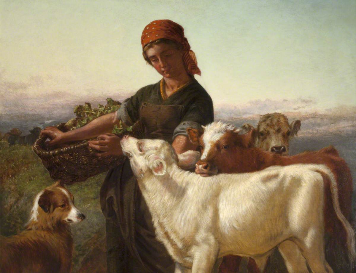 A Farm Girl with Three Calves and 'Silky'