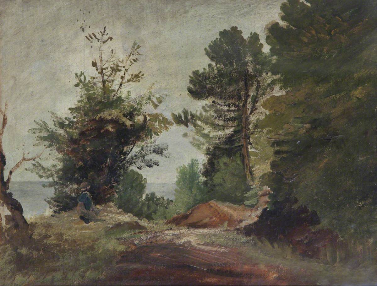 Woodland Scene