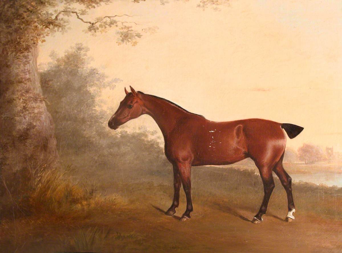 A Chestnut Hunter, Known as 'The Old Chestnut', with Chastleton House in the Distance