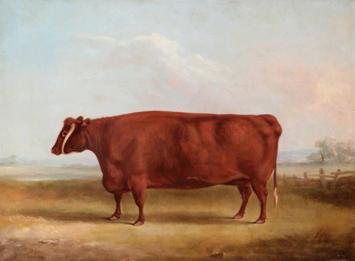 A Longhorn Cow in a Landscape, the Property of John Henry Whitmore-Jones of Chastleton