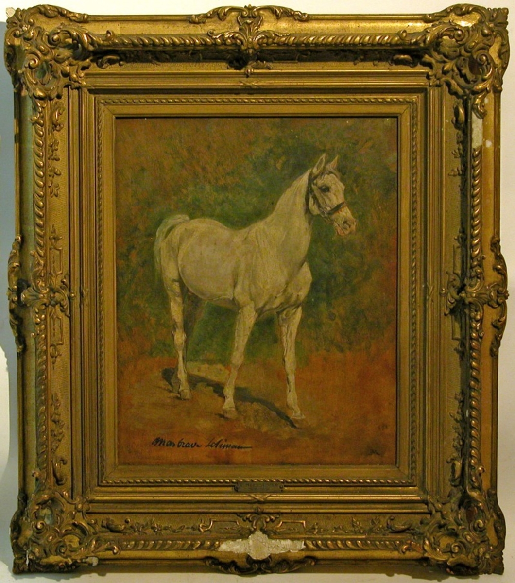 A White Horse