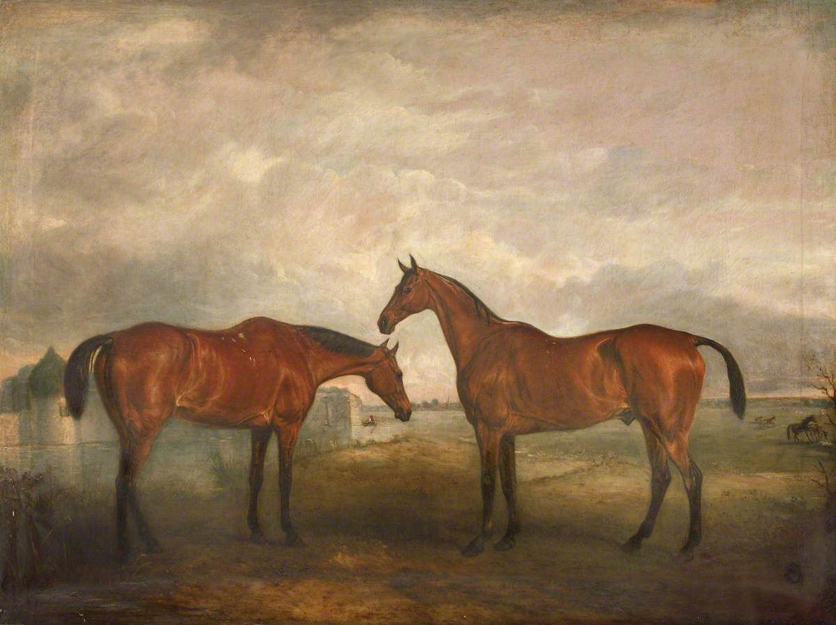 Two Racehorses, Called 'Sambo' and 'Pilot'