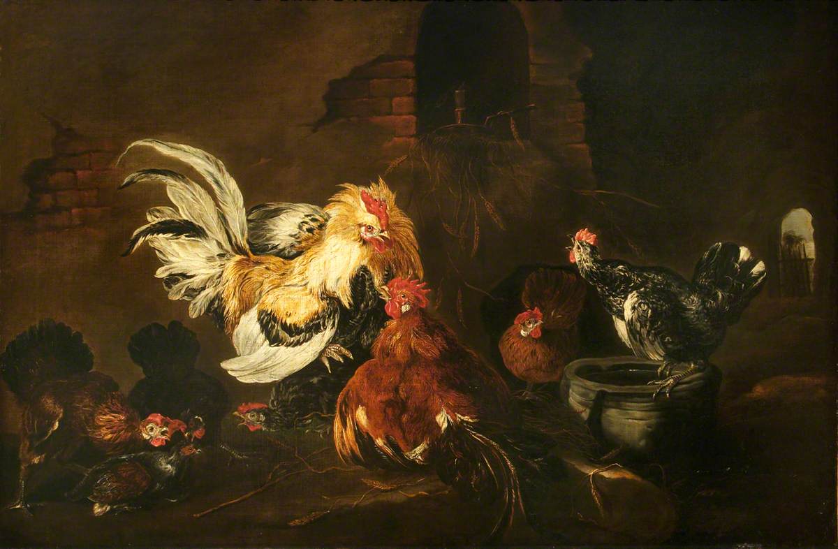 Fighting Cocks and Hens