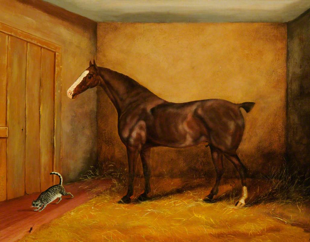 A Brown Horse in a Stable with a Cat and Mouse