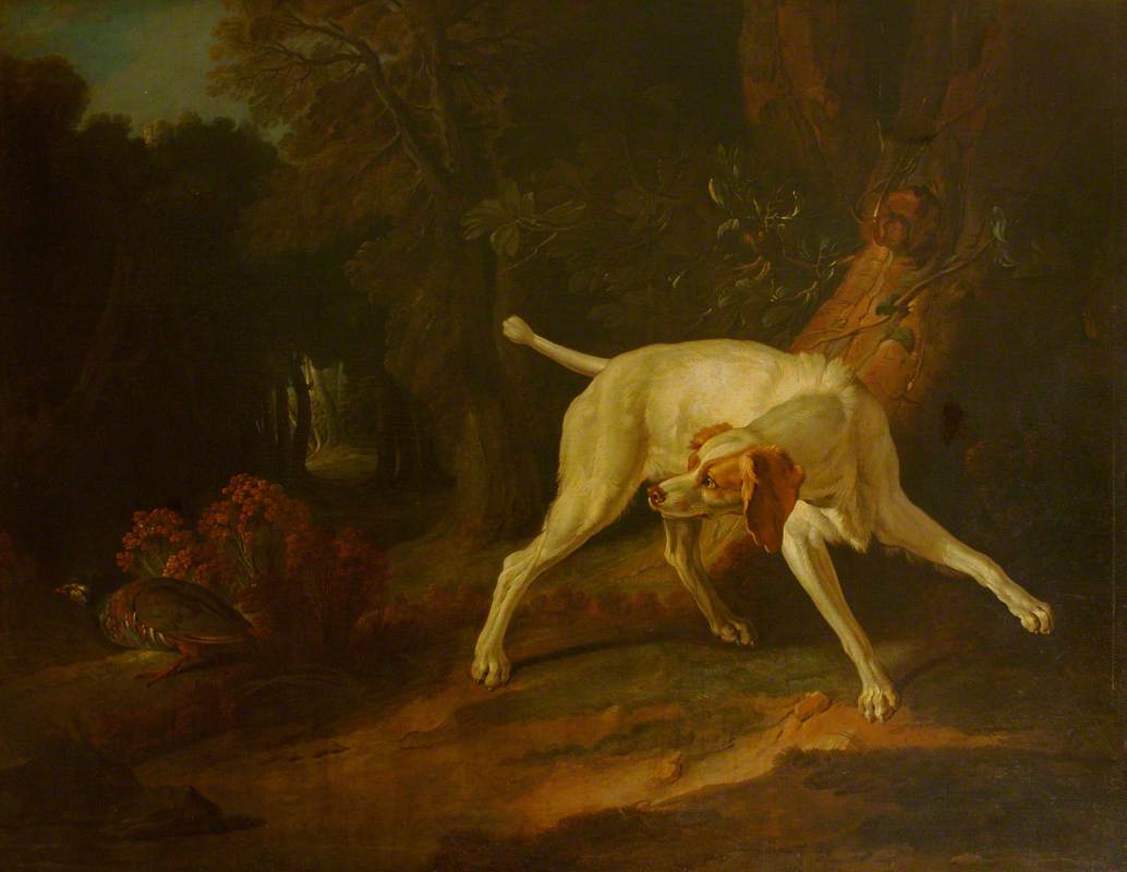 A Dog Pointing a Partridge