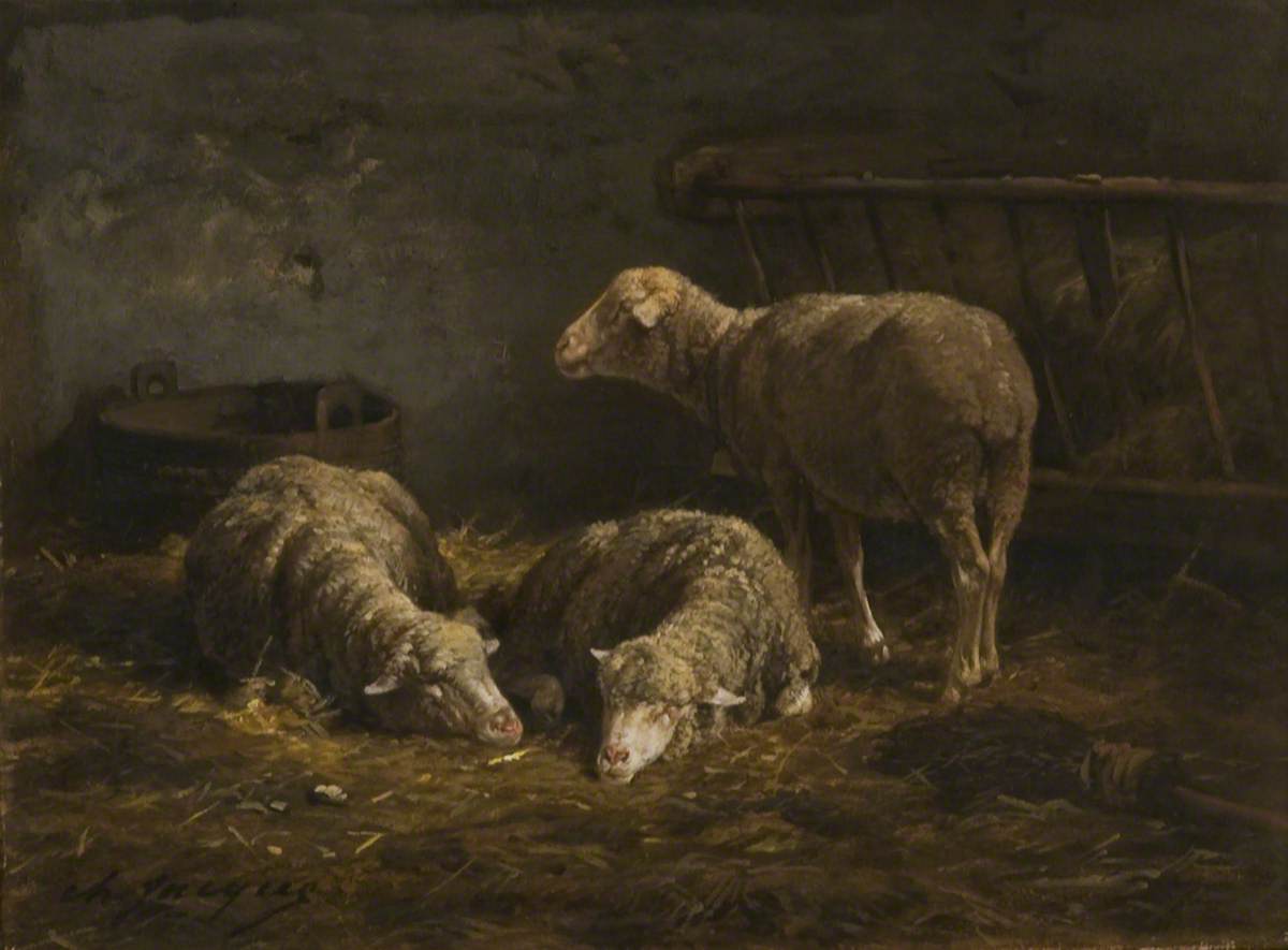 Three Sheep in a Barn