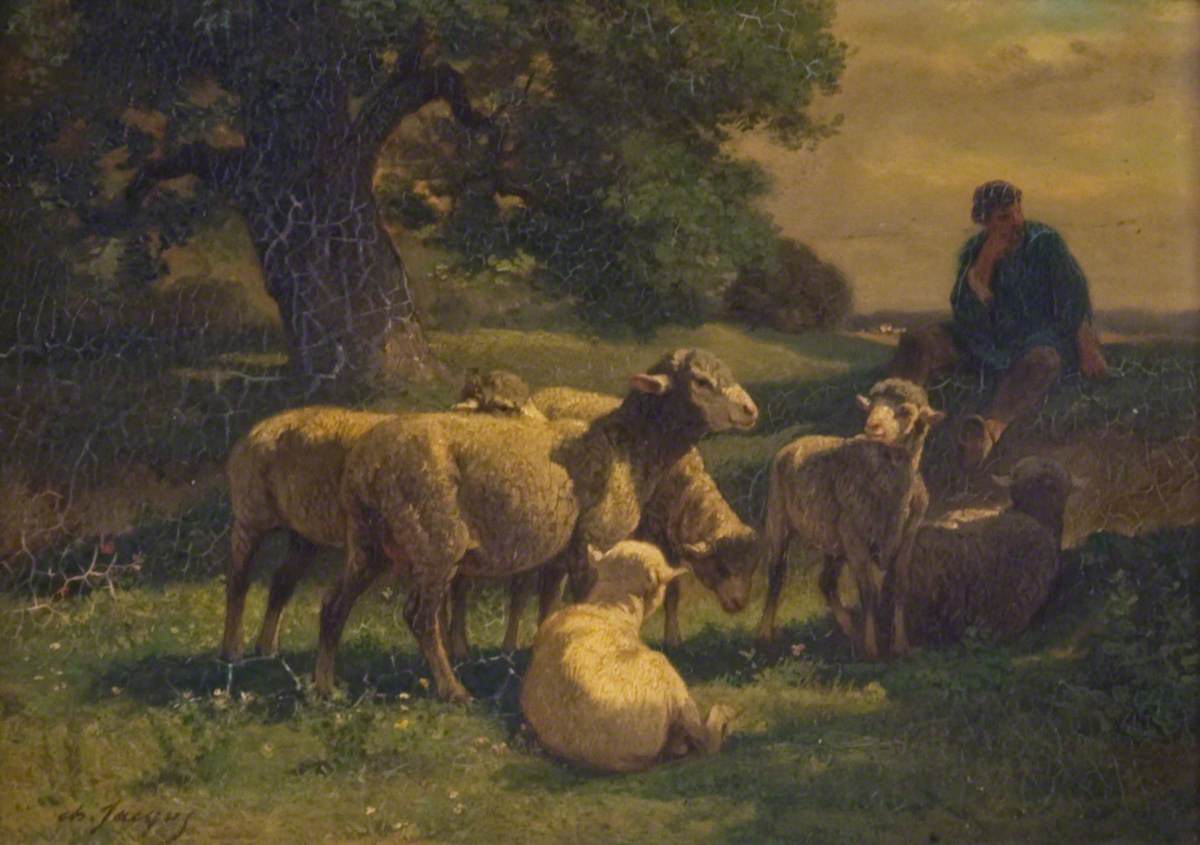 A Shepherd Boy and Sheep