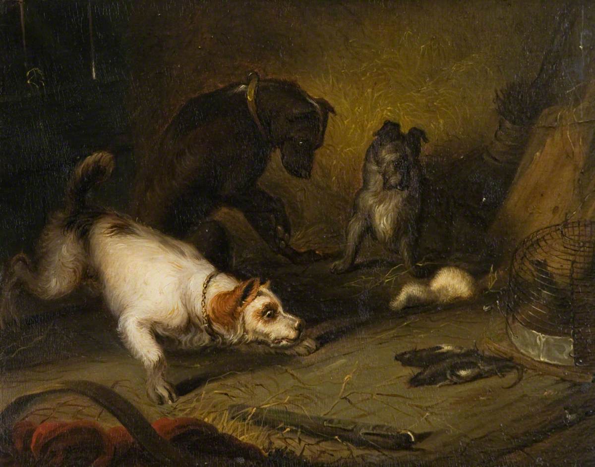 Three Terriers with Two Dead Rats