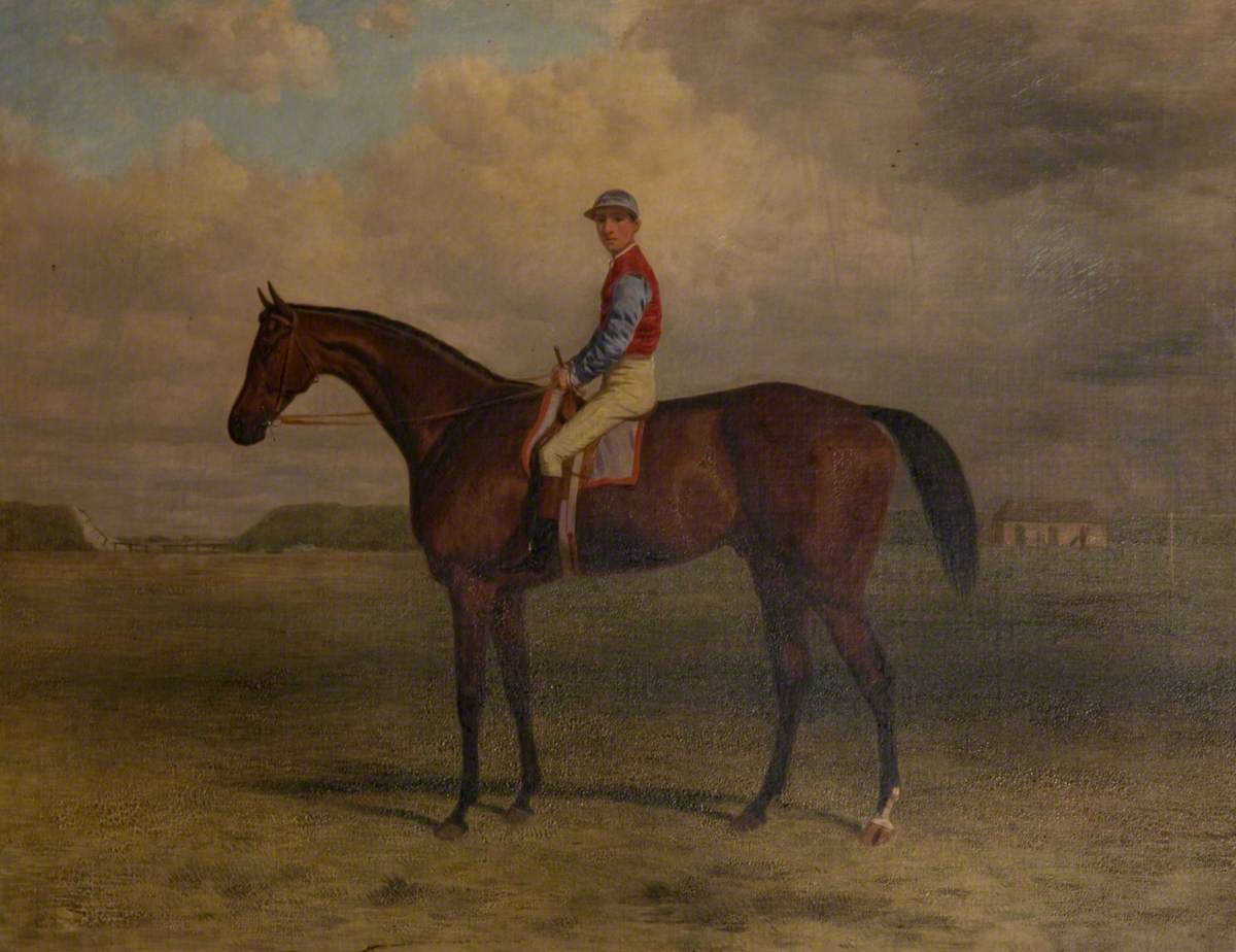 Bay Racehorse with a Jockey on Newmarket Racecourse