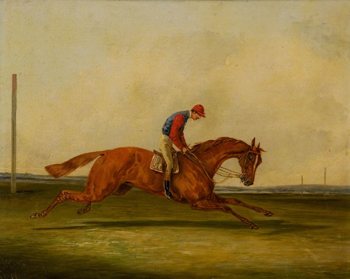 A Chestnut Racing with a Jockey Up, with Red Colours