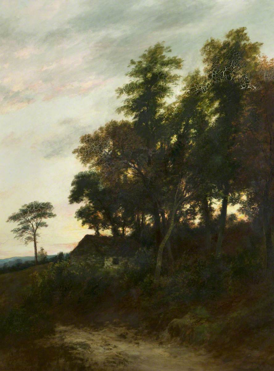 Trees in Perthshire at Dusk