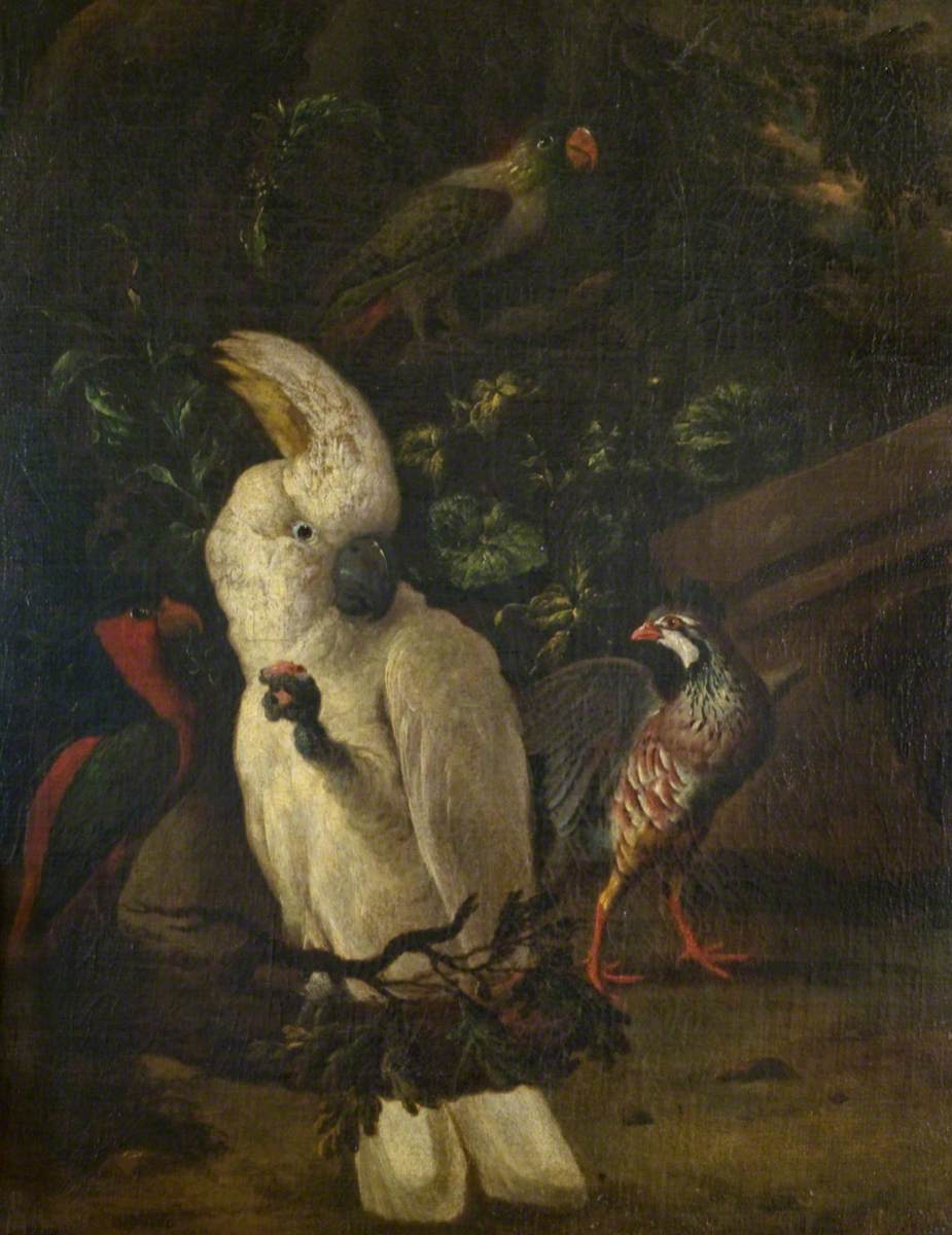 A White Cockatoo and Other Birds in a Wooded Landscape