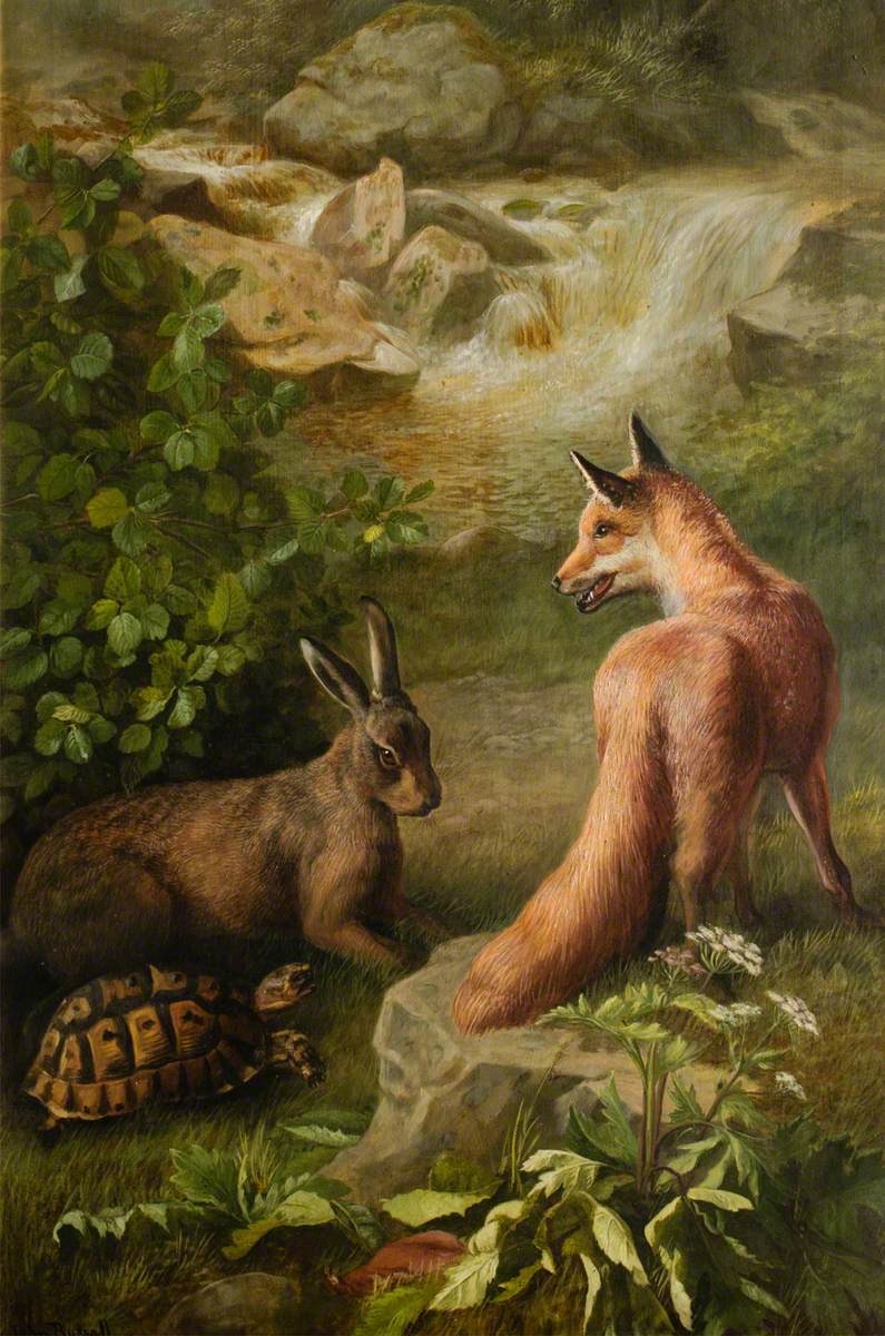 The Tortoise and the Hare