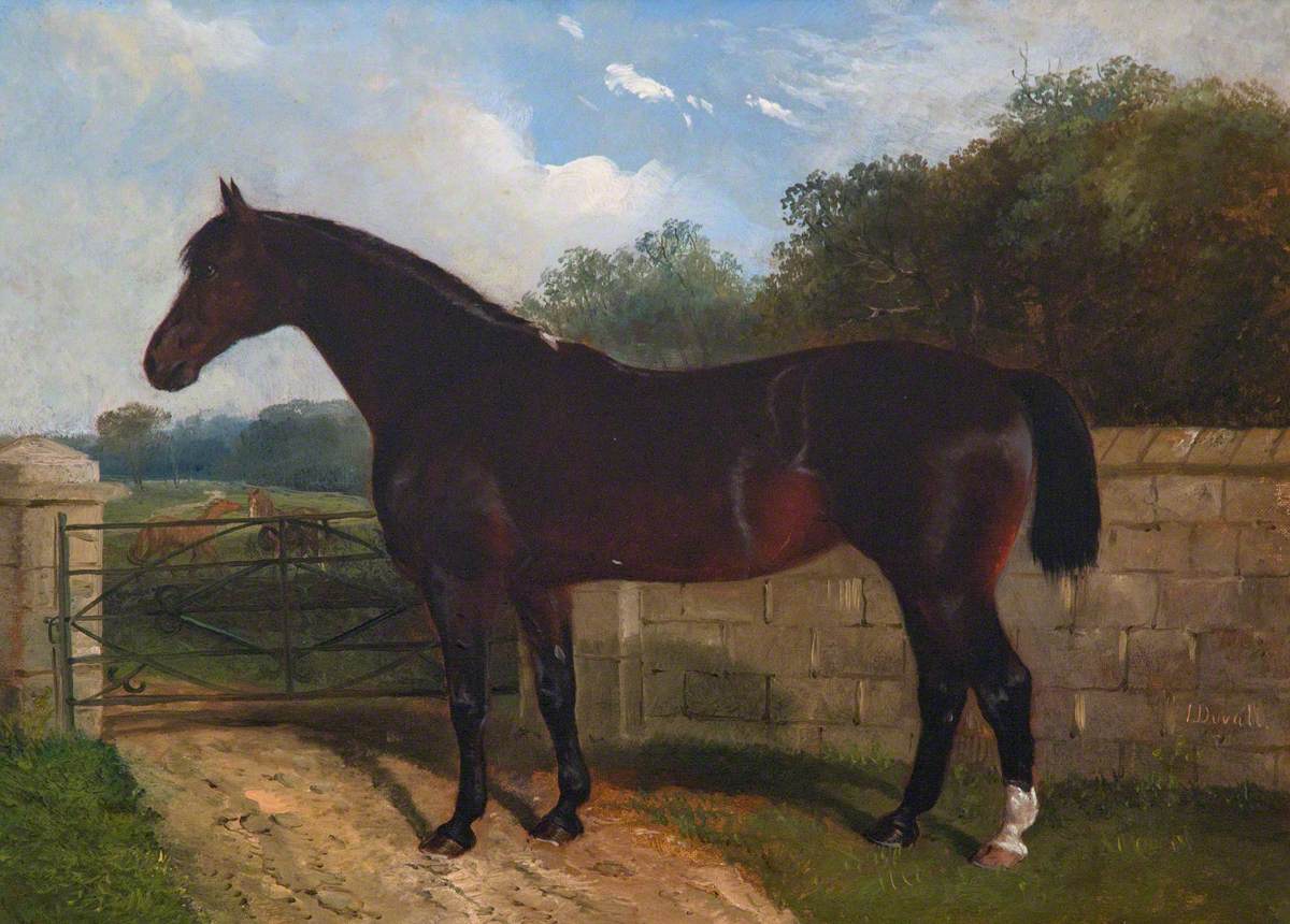 'Hungerford Mare'