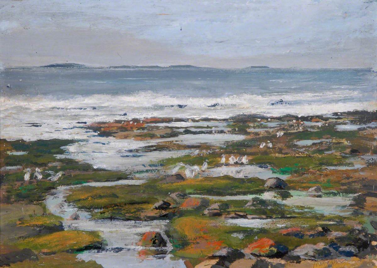 Farne Islands, Northumberland