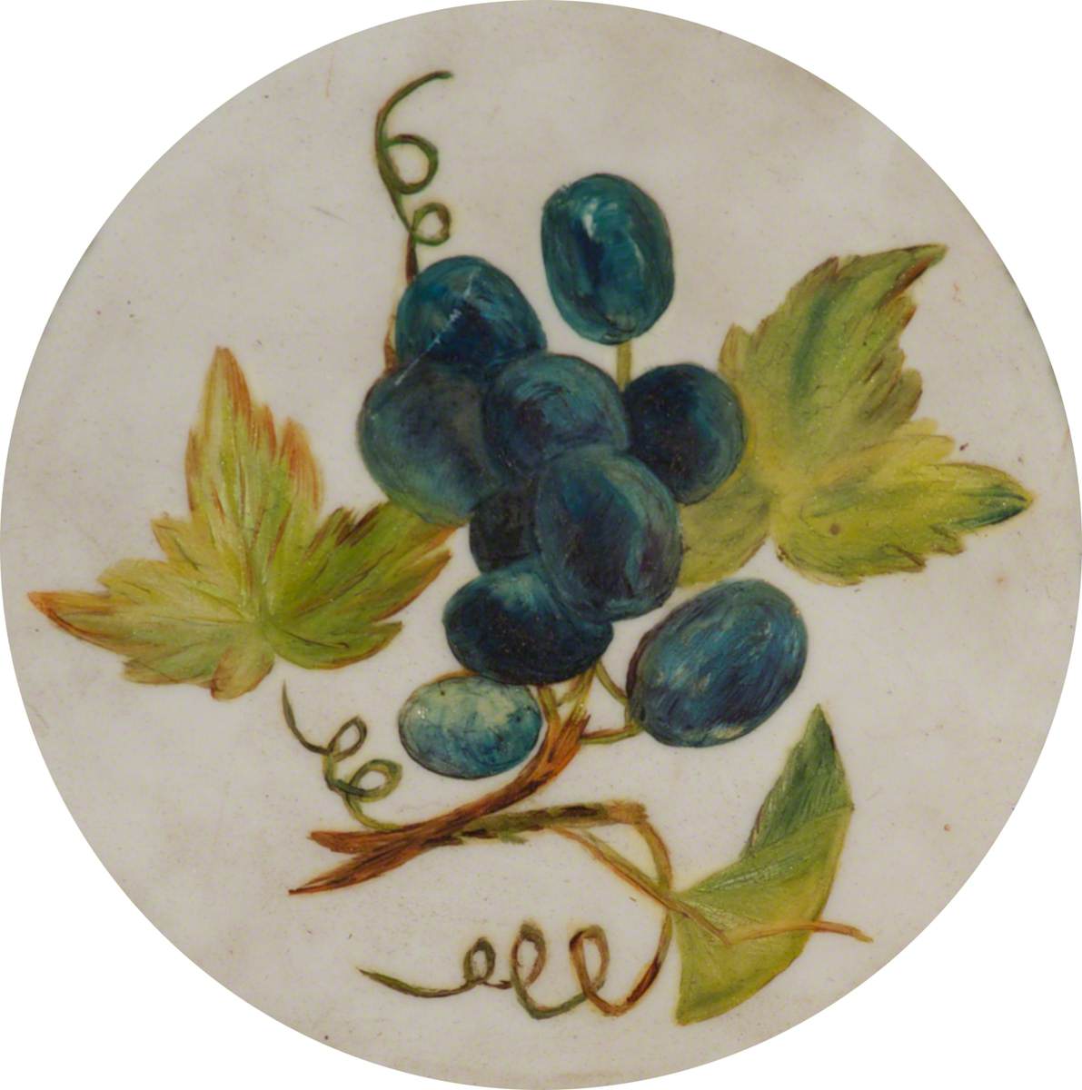 Bunch of Grapes