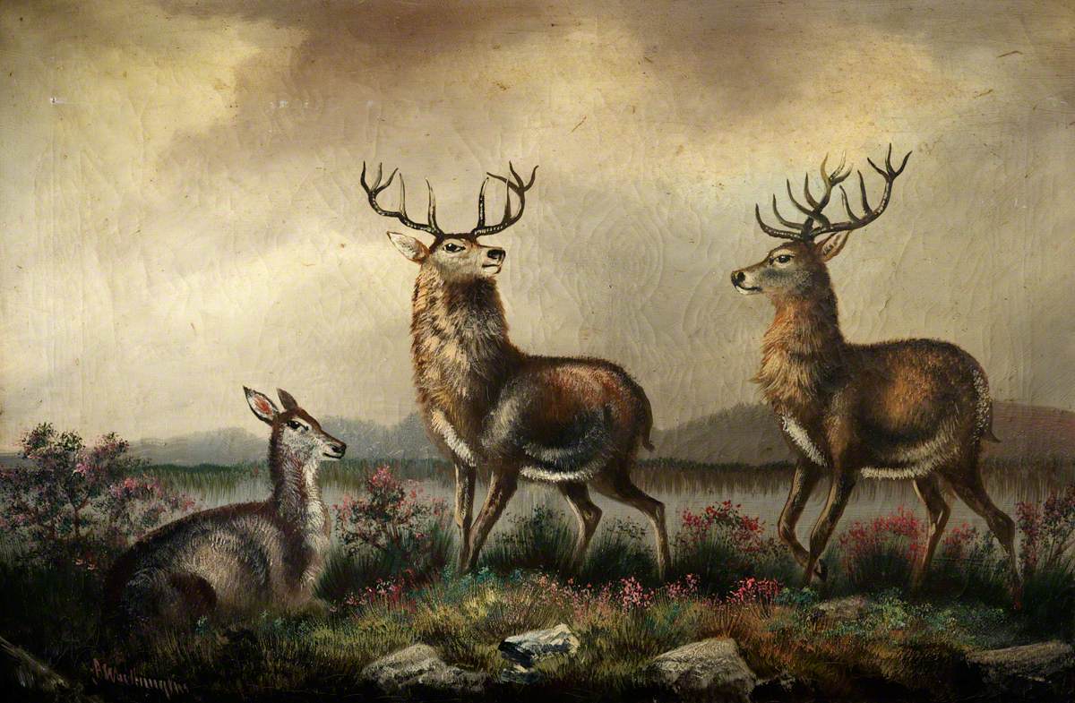 Two Stags and a Fawn