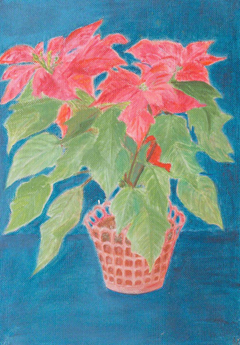 Poinsettia