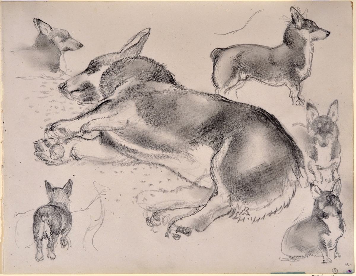 Corgi | Art UK