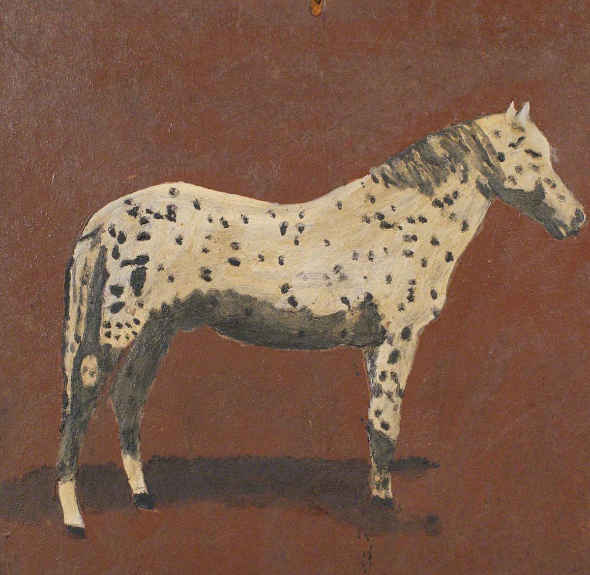 Primitive Horse