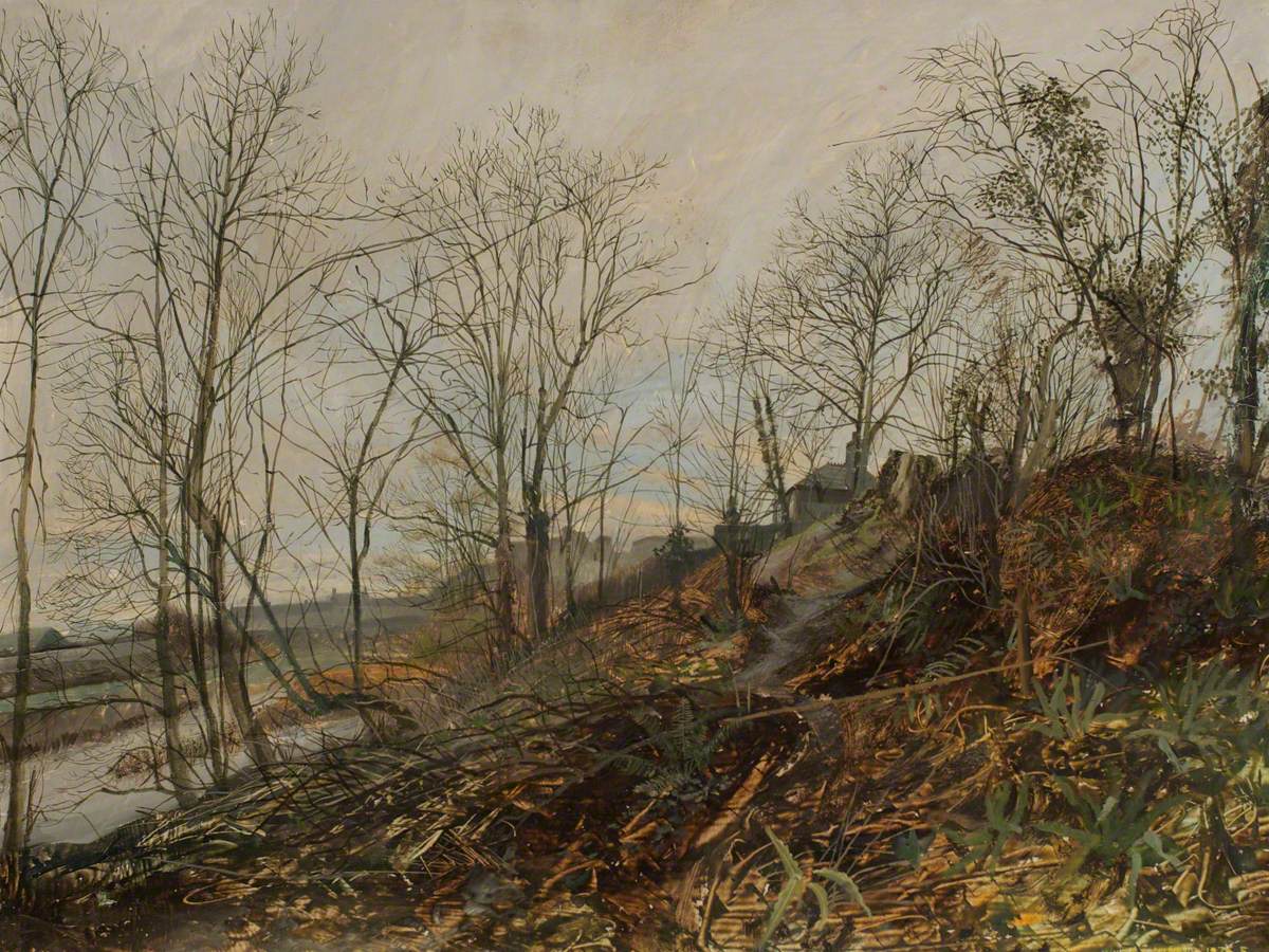 At the Edge of the Wood