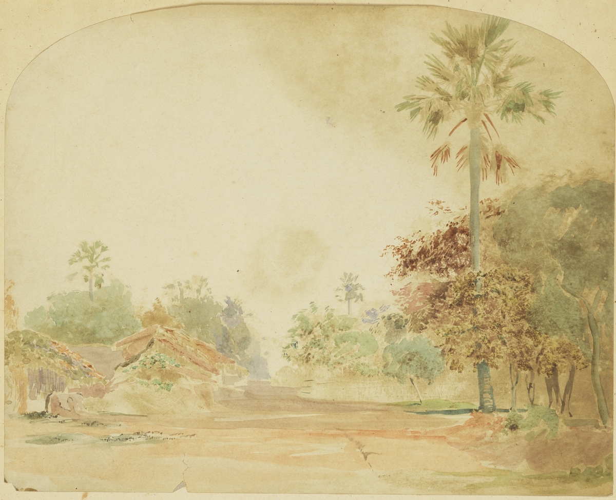 Lane Scene at Mor near Barh, India