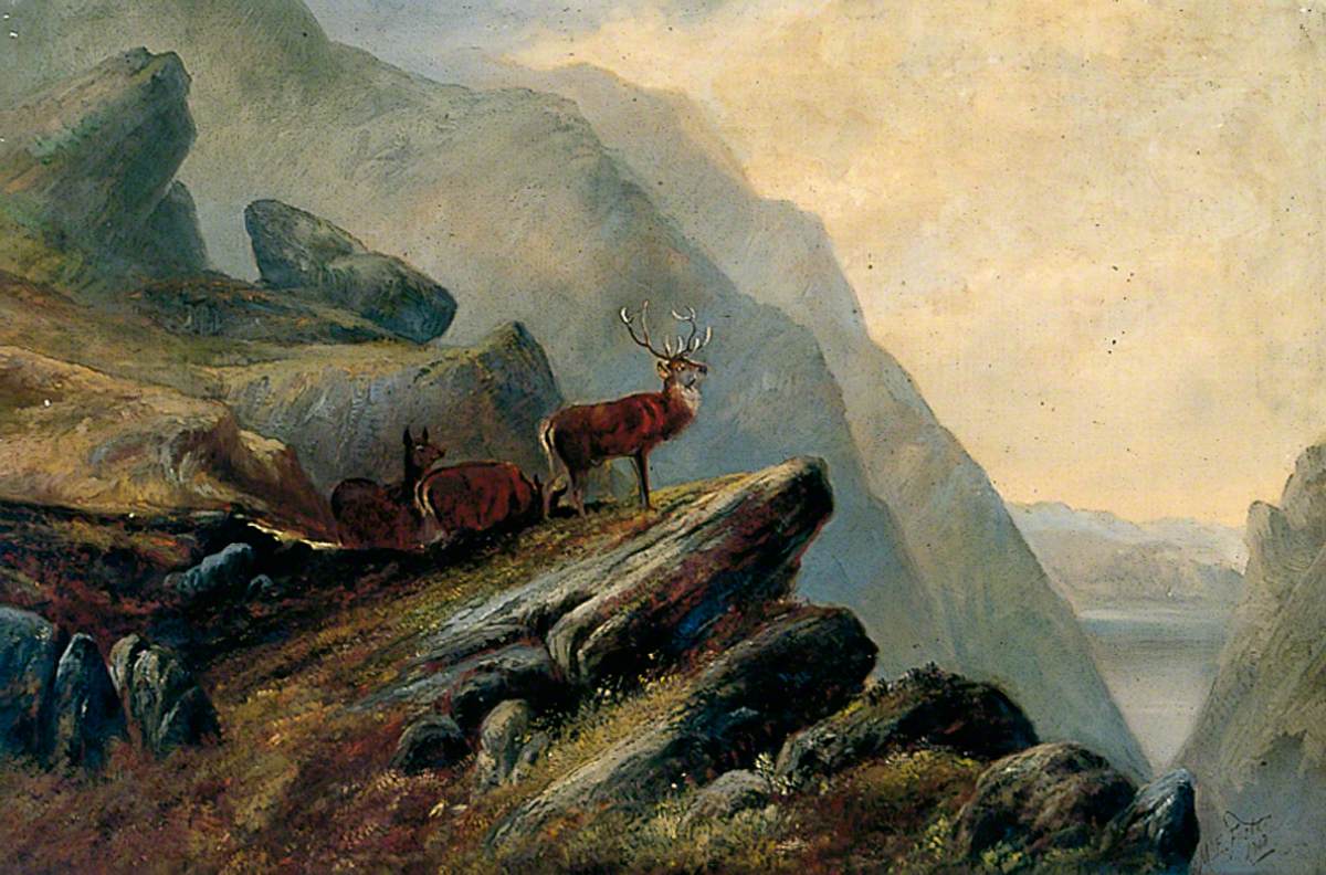 Stags in a Hilly Landscape