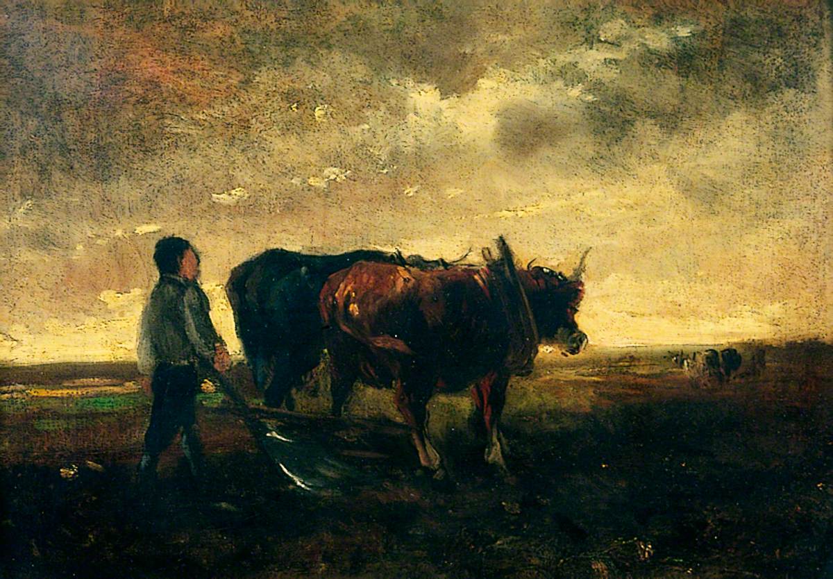 Oxen Ploughing at Evening