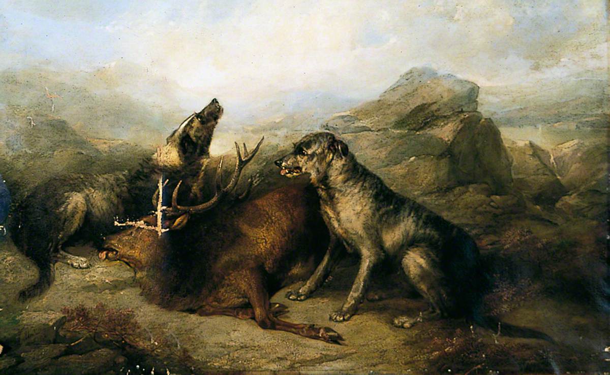 Stag and Dogs