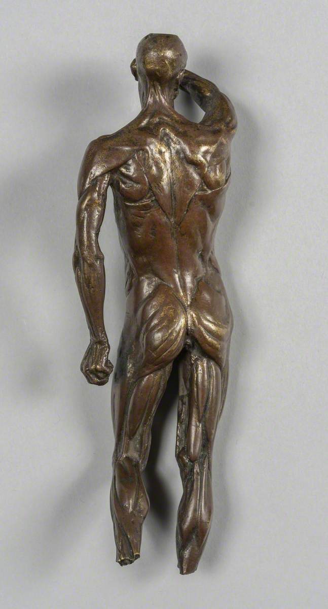 Anatomical Figure