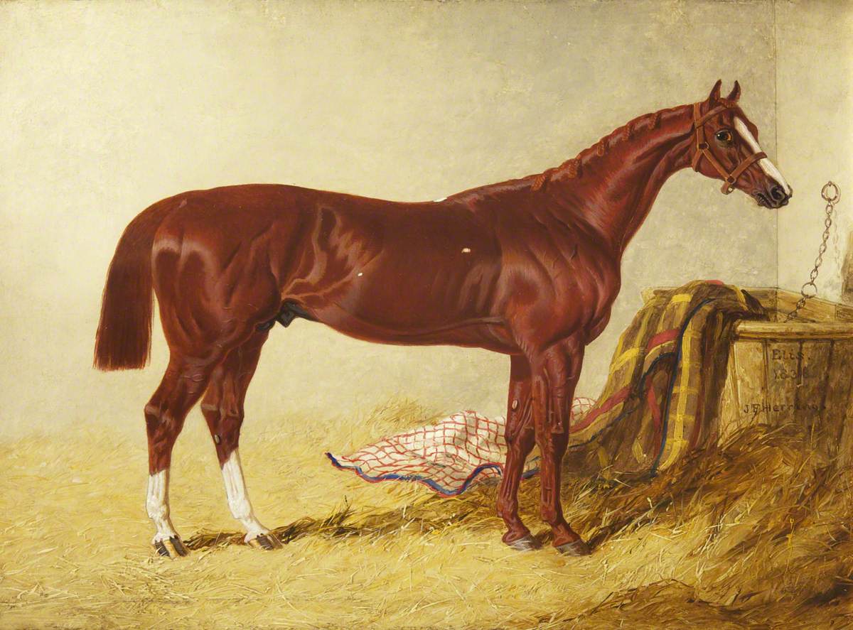 'Elis', Winner of the St Leger Stakes, 1836, in a Loose Box