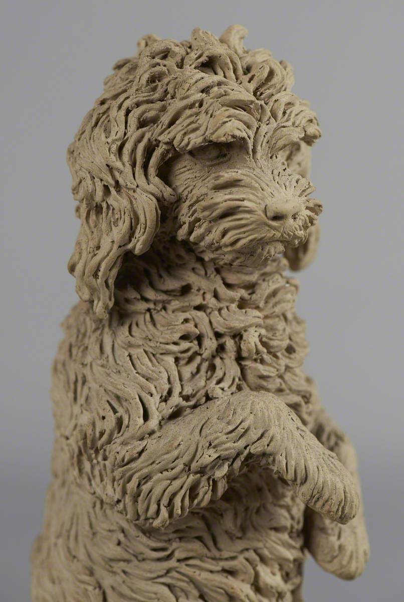 Model of a Dog