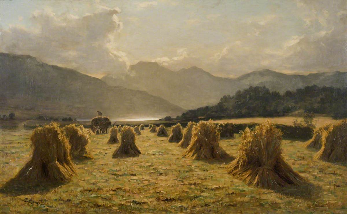 Harvest Time in Lorne