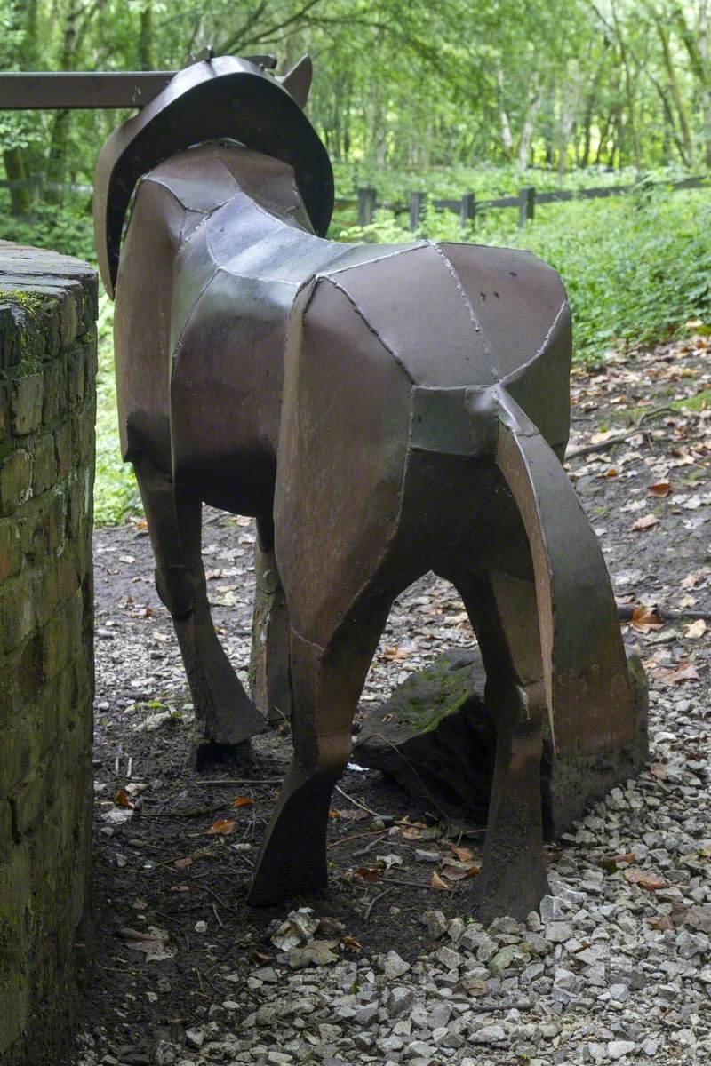 Galloway Pony