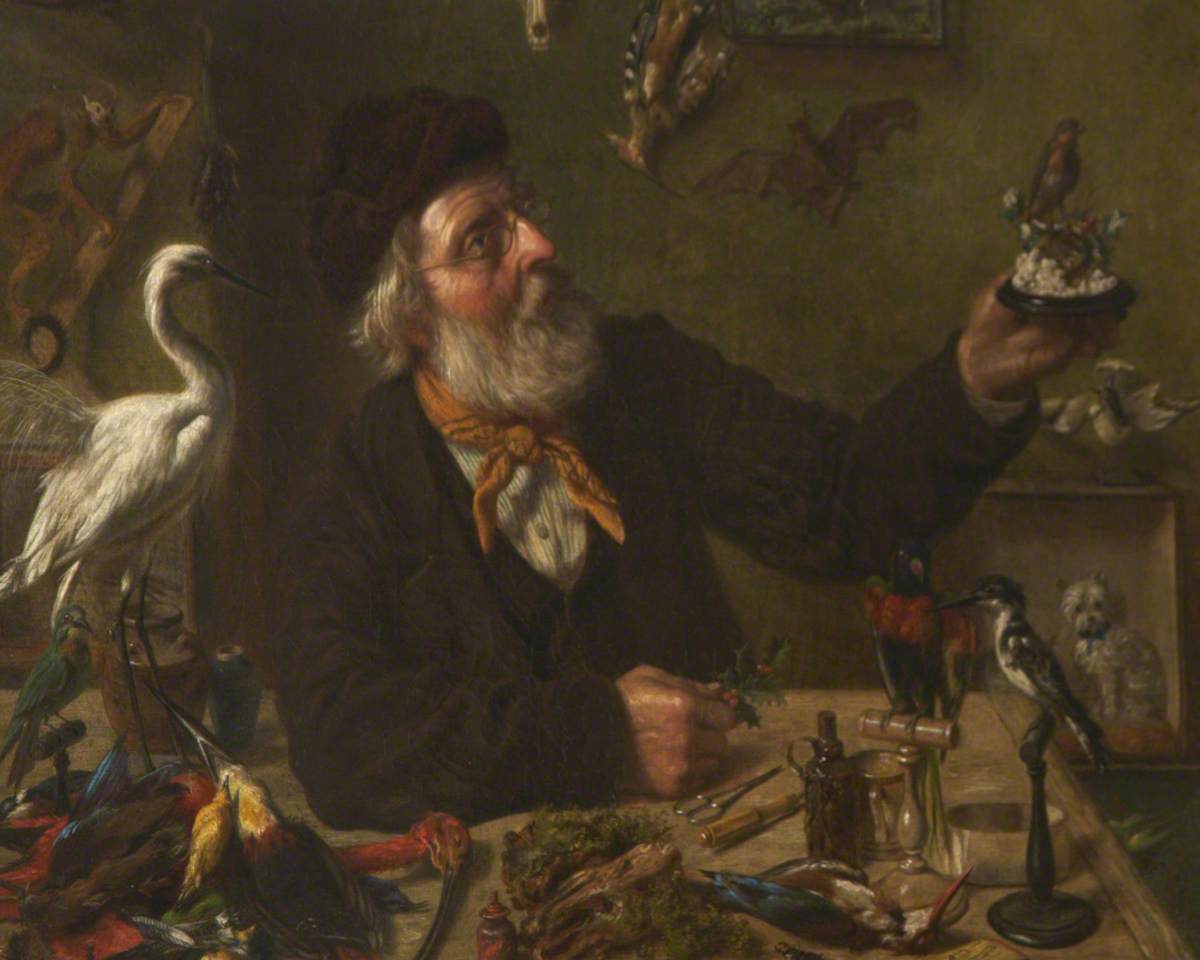 Taxidermist